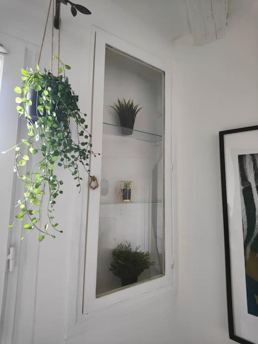 Charmant T2 Atypique, Renove Béziers Dış mekan fotoğraf